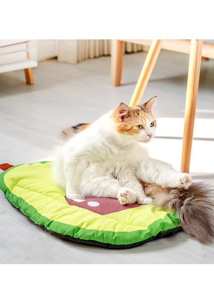 Evcil Hayvan Pedi (Yurt Dışından) fiyatları