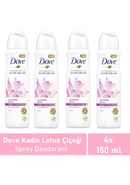 Kadın Deodorant Işıldayan Bakım Lotus Çiçeği Kokusu 150 ml -4'lü Avantaj Paketi