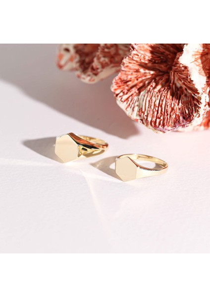 14K Altın Şövalye Yüzük (Kişiselleştir) Altıgen 1,0 cm indirimleri