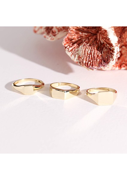 14K Altın Şövalye Yüzük (Kişiselleştir) Kare 0,9 cm