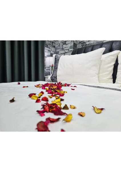 Thena Pamuk Saten Nevresim Takımı Krem Antrasit indirimleri