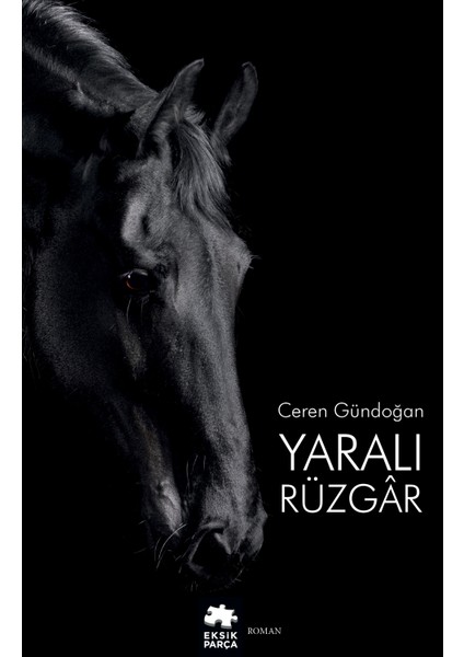 Yaralı Rüzgar - Ceren Gündoğan