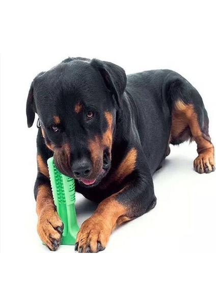 Köpek Diş Fırçası Isırma Aparatı Küçük Boy fiyatları