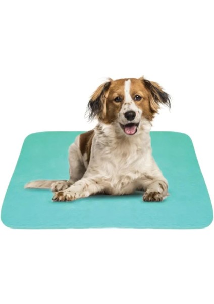 10'lu Ekonomik Paket 5 Katlı Kapitoneli, Yıkanabilir, Sıvı Geçirmez Köpek Çiş Pedi 75 x 90 cm