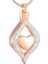 Kremasyon Takı Küller Için Klasik Stil Kristal Keepsake Kolye Paslanmaz Çelik Kalp Şekli Anıt Locket ile Yapılan | Kolye Kolyeler 1