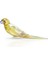 Biblo Jungle Beats Yellow Parakeet 1