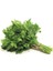 Yerli Maydonoz Tohum 1 kg 1