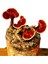 Reishi Mantarı Tozu Ganoderma Lucidum 1000 gr 4