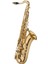 JTS500Q Tenor Saksafon 1