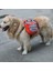 Sırt Çantasından Köpekler Için Kendinden Taşınabilir Sırt Çantası Nefes Alabilen Örgü Çantası, Spesifikasyon: S (Turuncu) (Yurt Dışından) 2