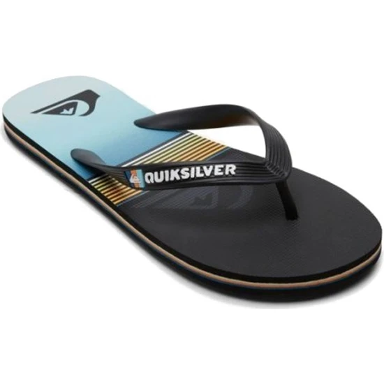 Quiksilver Molokai Panel Erkek Terlik AQYL101263