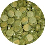 Sera Spirulina Tabs - Kovadan Bölme 100 adet