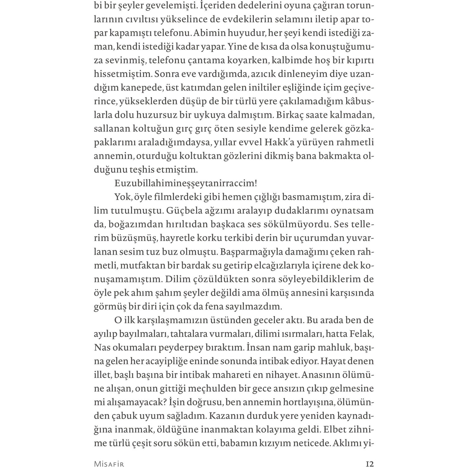 Misafir Nermin Yıldırım Kitabı ve Fiyatı Hepsiburada