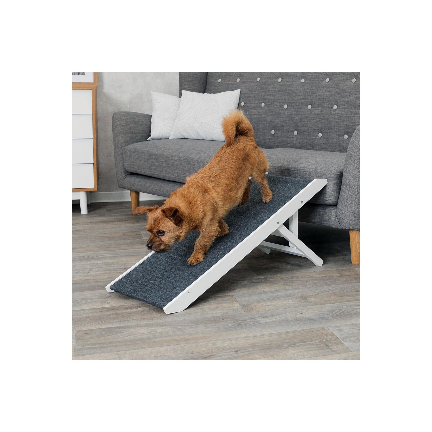 Trixie Köpek Ve Kedi Rampası, Yükseklik Ayarlı Fiyatı
