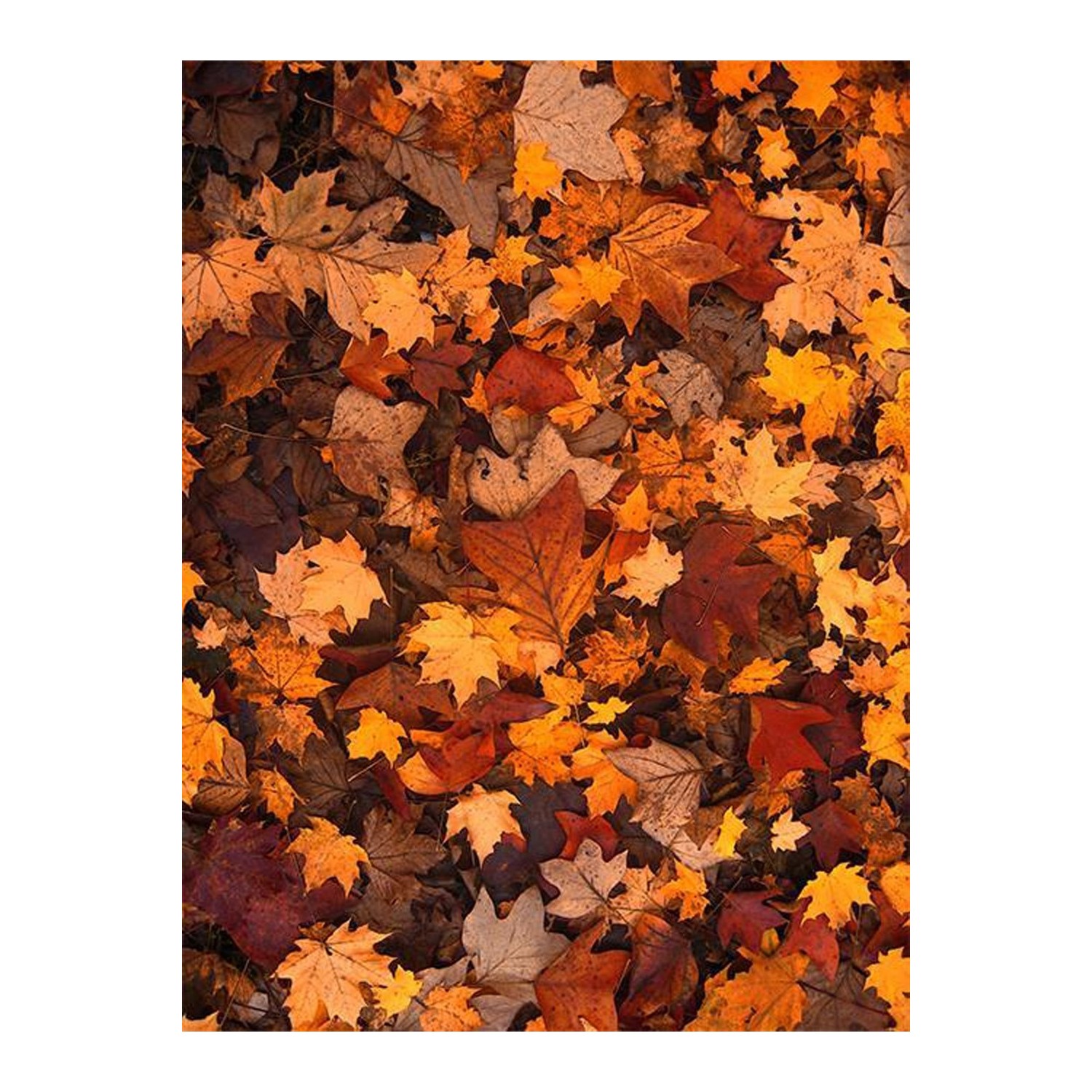 Veronya Sonbahar Yapraklari Desenli Dijital Baski Kaymaz Fiyati