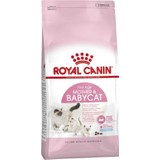 Royal Canin Fhn Babycat 34 Yavru Kedi Maması 2 Kg