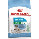 Royal Canin Shn Mini Starter Küçük Irk Yavru Köpek Maması 3 Kg