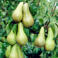 Abete 3 Rafli Beyaz Kitaplik Fiyati Ve Ozellikleri Gittigidiyor