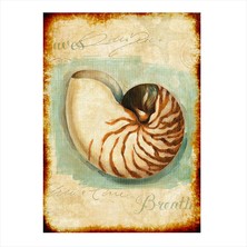 Cakasepetim Ahşap Tablo İstiridye kabuğu