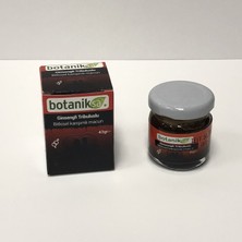 Botaniksan Ginsengli Tribuluslu EPIMEDYUMLU Bitkisel Macun 43gr