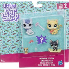 Littlest Pet Shop Minişler Snowboarding Kitty Crew Miniş Ailesi