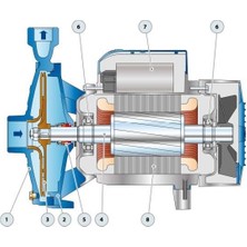 Pedrollo Cp 230A Trf Tek Fanlı Santrifüj Pompa (Trifaze)