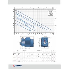 Pedrollo Pkm 60 Preferikal Pompa Monofaze (220V) 40 Mss 2.4 M³/H