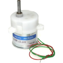 Keskinler DC Eksantrik Mikro Motor 12V 60RPM Plastik Dişli 33mm B138F.12.608