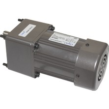 Keskinler 90mm 220V 17RPM AC Motor YN90-60