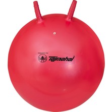 TajMahal Zıp Zıp Top 55 cm
