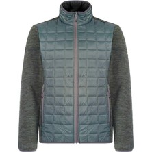 Regatta Chilton Hybrid Erkek Polar