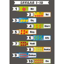 Okularenkkat Sayılar Afişi
