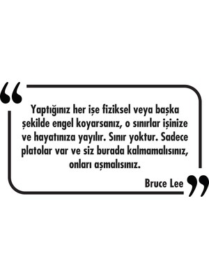 Tilki Dünyası Dekoratif Duvar Yazısı Sticker 036