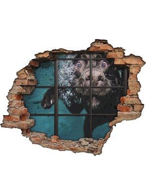Renkselart Deniz Dibi Ve Köpek 3D Görünümlü Duvar Sticker