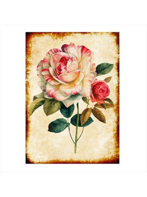 Cakasepetim Ahşap Tablo Pembe Beyaz Gül