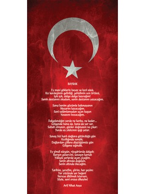 Renkselart Öğretmenler Odası Kapı Giydirme