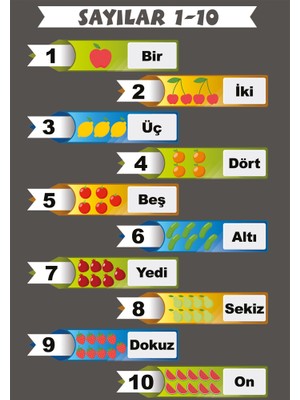 Okularenkkat Sayılar Afişi
