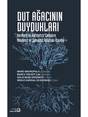 Dut Ağacının Duydukları