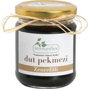 Zencefilli Dut Pekmezi 220 gr