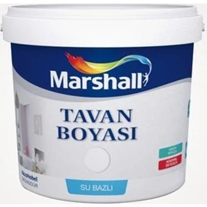 Tavan Boyası