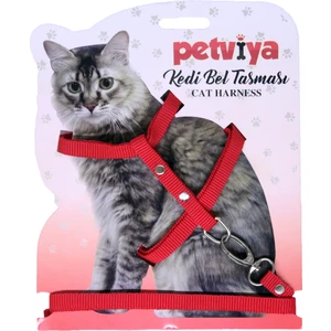 Kedi Göğüs (Bel) Tasması