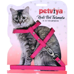 Kedi Göğüs (Bel) Tasması