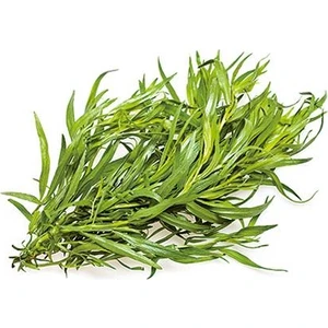 Mutlu Sebzeler Tarhun Otu Tarragon 25gr'lık 1 paket