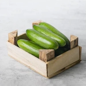 Mutlu Sebzeler Hıyar ( Salatalık ) (1Kg)