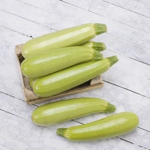 Mutlu Sebzeler Kabak (1Kg)