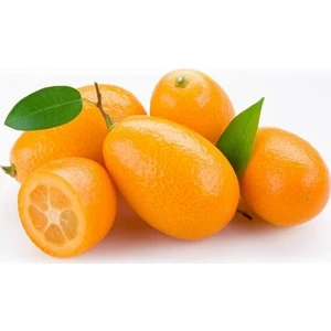Mutlu Sebzeler Kumkat (1Kg)