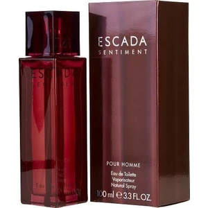 Sentiment Edt Erkek Parfümü 100 Ml