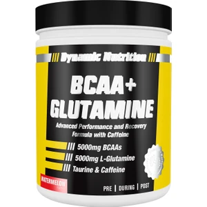 Dynamic Nutrition BCAA+ Glutamine 300 gr (Karpuz)