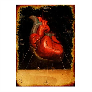 Ahşap Tablo Kalp Anatomisi