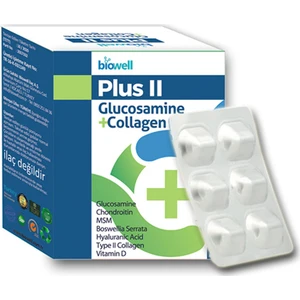 Plus Iı Glucosamine+Collagen 60 Kapsül